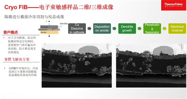 賽默飛王慧敏：前沿表征科技是提高鋰電池質量、性能的“王牌利器”